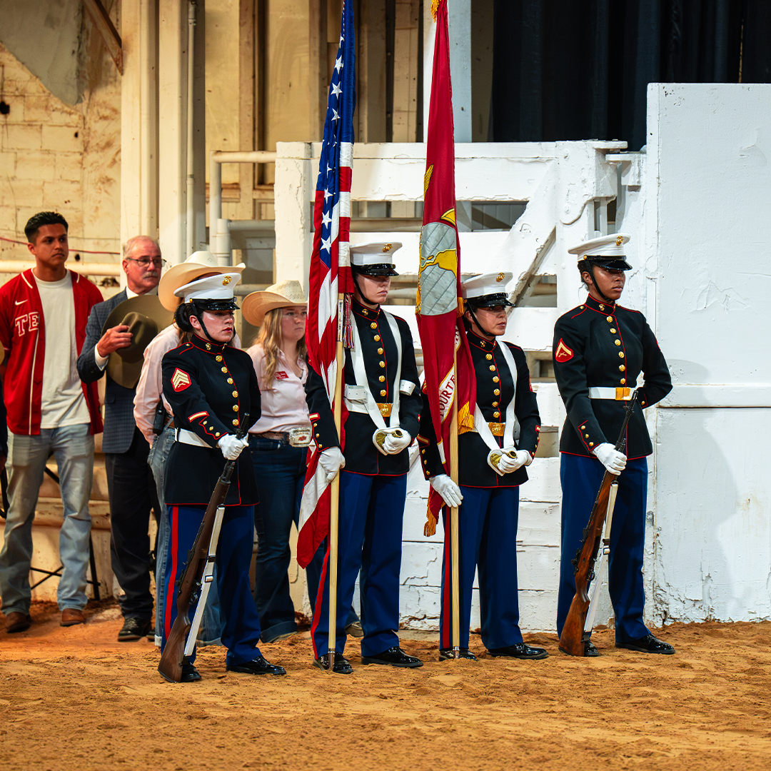 NSBA Partners in Honoring Freedom Night at APHA World Show NSBA Partners in Honoring Freedom Night at APHA World Show