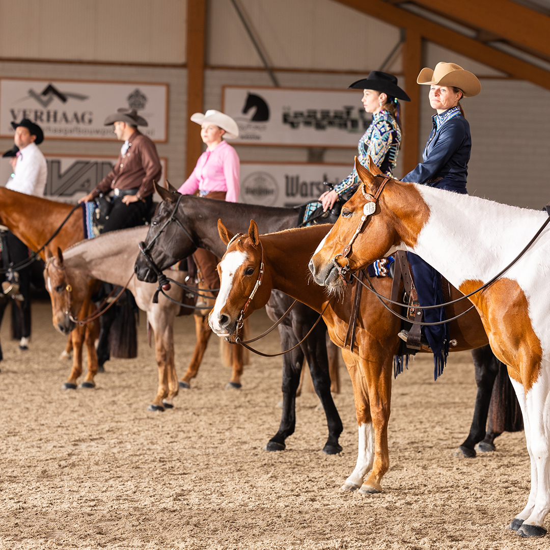 NSBA Announces Newest International Restricted Judges 