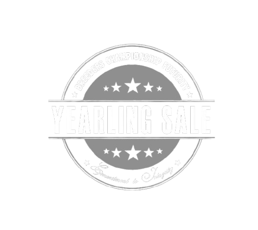 NSBA BCF Sale Logo