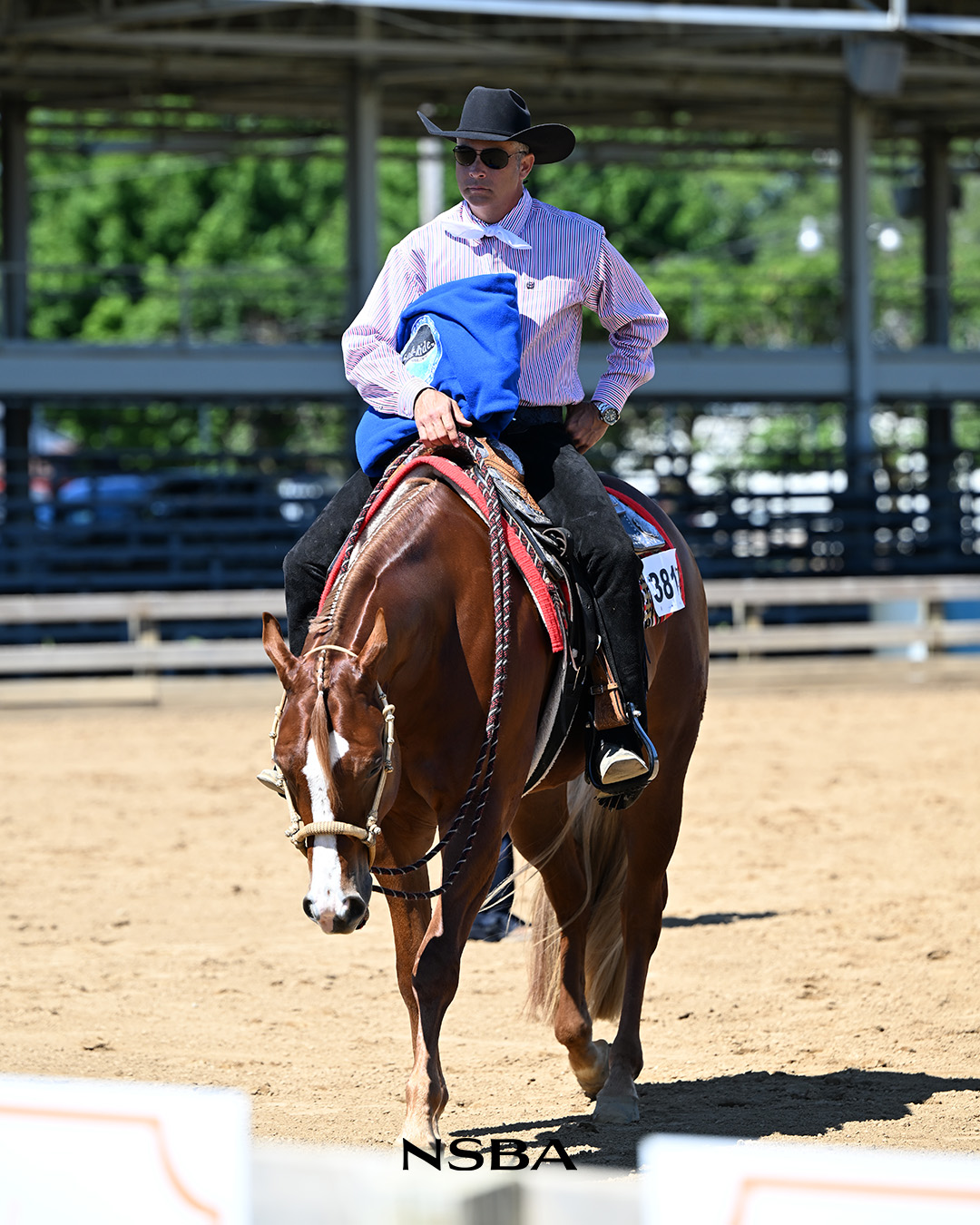 Aaron Moses, Katy Jo Zuidema, Million Dollar Club, NSBA
