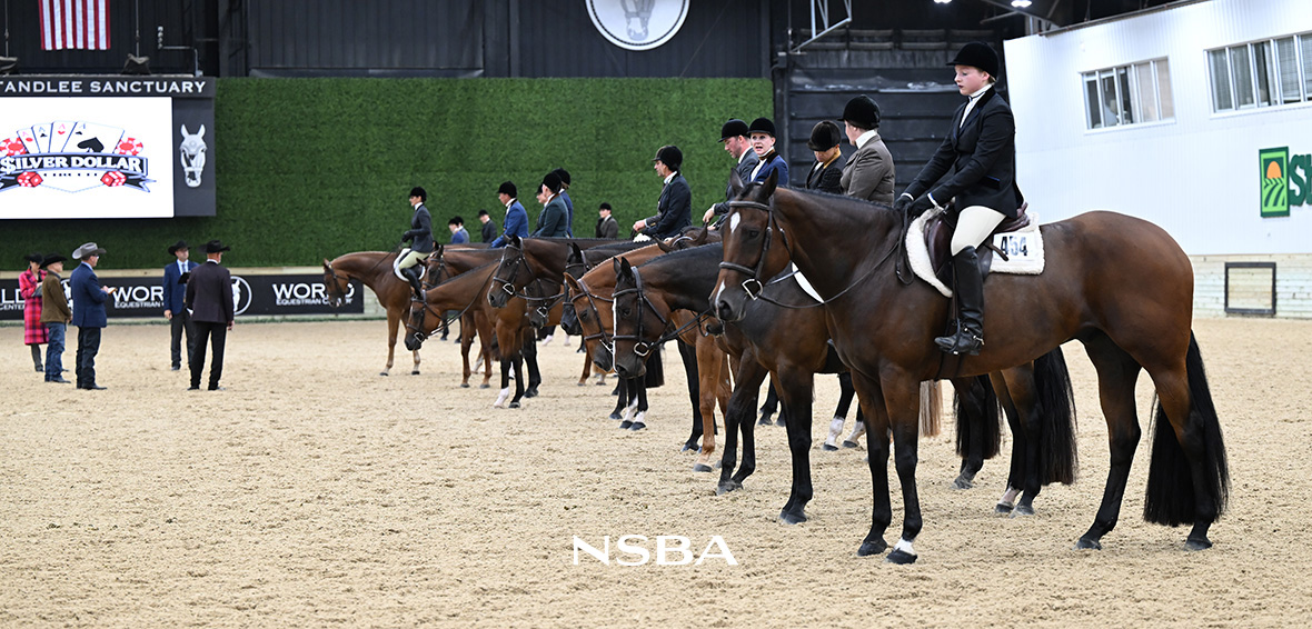 Novice Horse Hunter Under Saddle