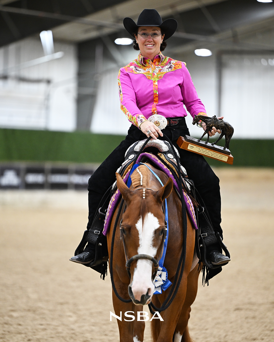 Lookn Like Trouble, Angie Cannizzaro, NSBA, Western Pleasure