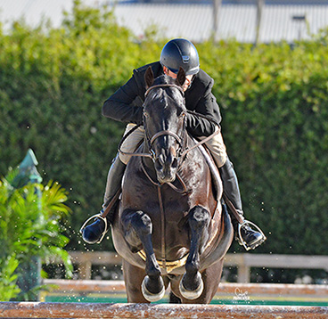 Ryan Painter Joins NSBA's Quarter Million Dollar Club