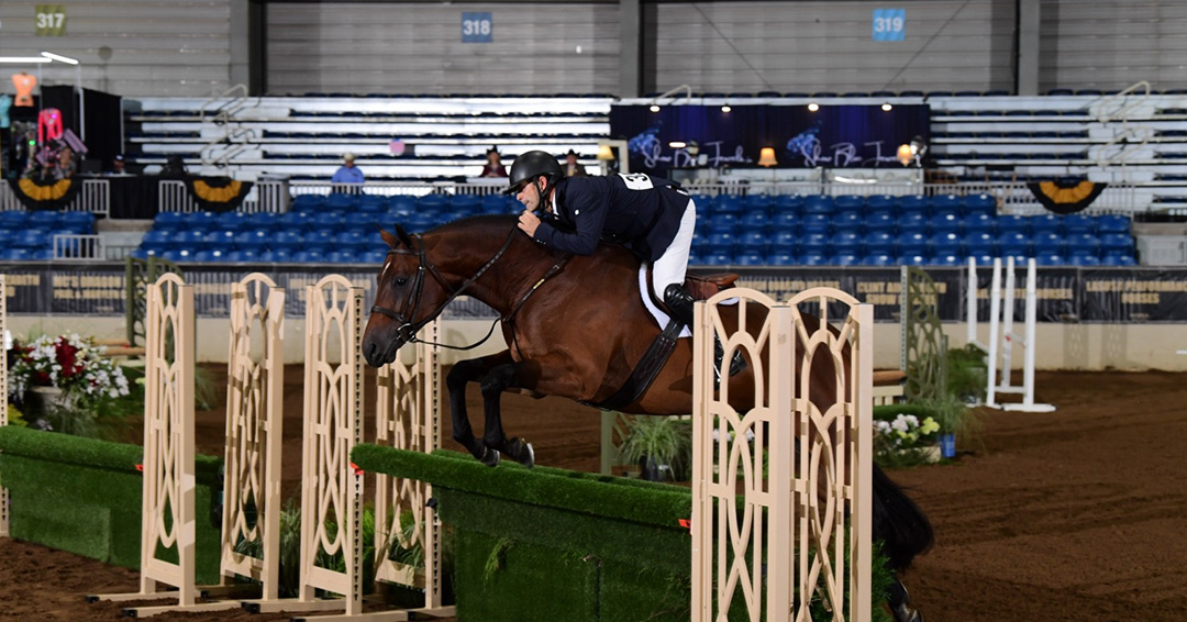 Ryan Painter and Allocate In Green Ryan Painter, Allocate In Green, Working Hunter Derby
