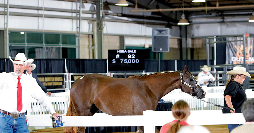 flags, Heroes On Horses, veterans, NSBA World Show